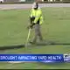 Drought takes a toll on north Mississippi yards