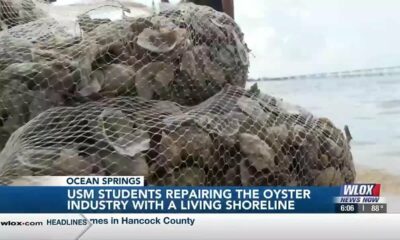 USM students repairing the Gulf’s oyster industry with a living shoreline