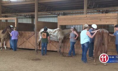 Coyote Hills Equine Rescue and Therapy Riding Inc. hosts hay drive to prepare for winter