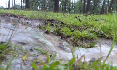 Drainage project coming to Sumrall