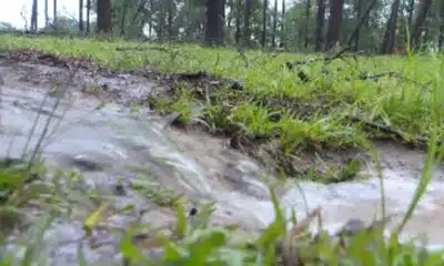 Drainage project coming to Sumrall
