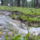 Drainage project coming to Sumrall
