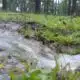 Drainage project coming to Sumrall