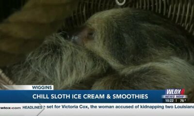 Wiggins ice cream shop aims to stop animal trafficking