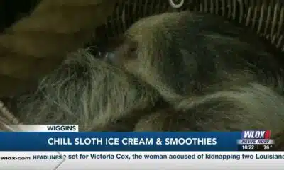 Wiggins ice cream shop aims to stop animal trafficking