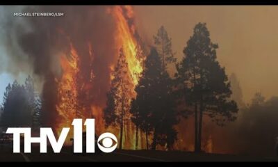 Park fire now one of the largest wildfires in California history