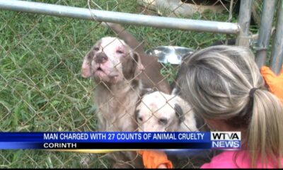 Corinth Police, animal shelter work to save neglected dogs