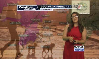 Dog Walk Forecast for July 30th - Hank