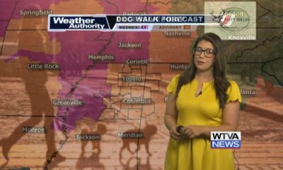 Dog Walk Forecast for July 31st - Morgan & Honey