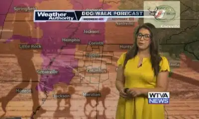 Dog Walk Forecast for July 31st - Morgan & Honey