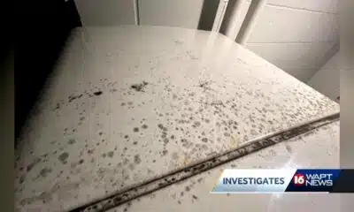 Contractors concerned Thalia Mara Hall won't be repaired in time for upcoming events