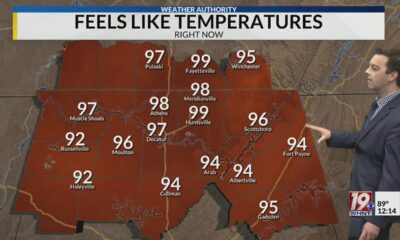 Monday Noon Weather - 8/5/24