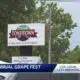 12th Annual Grape Fest