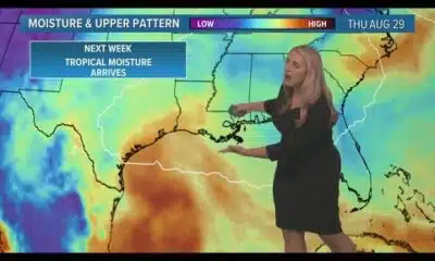 Friday Noon Tropics Update: Tropical moisture moves into Gulf of Mexico next week