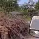 ‘It should’ve been done a long time ago’: Viewers get help for tree debris piling up since Derecho