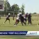 Blitz Preview: Terry Bulldogs