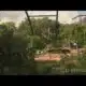 Houston Zoo introduces new "Birds of the World" habitat