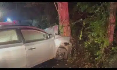 Car crashes into tree in Jefferson County, killing 1 person