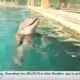 Meteorologist Taylor Graham swims with the dolphins at IMMS