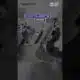 Street takeover of Florida roadway caught on video by police.  #abcactionnews #news #crime  #florida