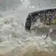 Man’s video shows moment he was trapped in SUV as street floods in San Antonio