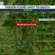 Park shooting under investigation