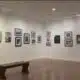 Eastern Shore Camera Club hopes to inspire during Members Exhibit