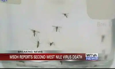 Mississippi reports second West Nile Virus death of 2024