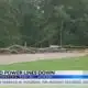 Tree falls on power lines in Jackson