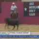 Ike Hamilton Expo Center wraps up Cotton Stakes "Cutting Horse Show"