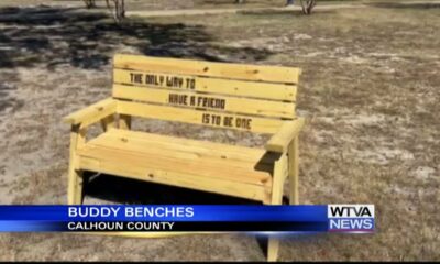 Interview: Anti-bullying benches set up in Calhoun County