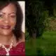 Person of interest in missing mother case tied to other stolen vehicle cases with missing drivers