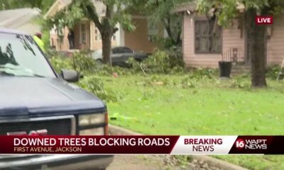 Tree falls on home in Jackson