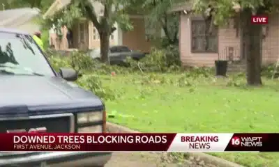 Tree falls on home in Jackson