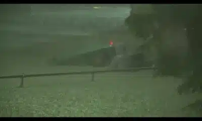 Rescue during Francine: Person in truck saved during Hurricane Francine flooding