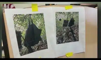 Trump assassination attempt: FBI agent spotted suspect point gun through fence