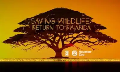 Saving Wildlife: Return to Rwanda - EXTENDED EDITION