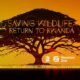 Saving Wildlife: Return to Rwanda - EXTENDED EDITION