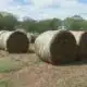 Drought Causing Struggles for Fall Farm Tourism | Sept. 20, 2024 | News 19 at 6 p.m.