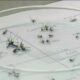 One FL county confirms 2 cases of locally acquired dengue fever