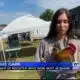 2nd Farmers Market Chicken Show held in Pontotoc