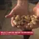 Baldwin County peanut farmers say a special ingredient has boosted the crop this year