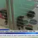 Pearl River County shelter experiencing dog overcrowding crisis