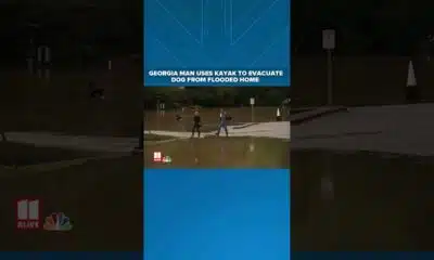 A four-legged rescue: Georgia man navigate flood waters with dog in tow