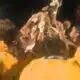 St. X beats rival Trinity in rescheduled Saturday matchup