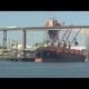 What the dock workers strike means for you