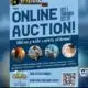 Interview: Online auction to benefit Sanctuary Hospice
