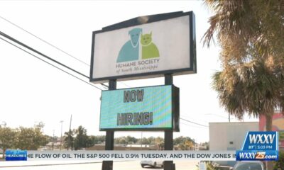 Humane Society of South Mississippi offering $13 adoption fees