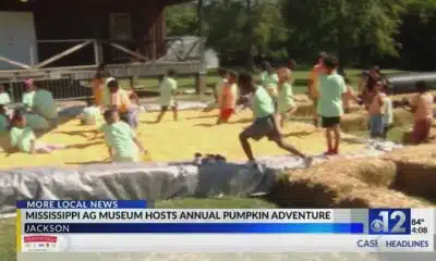Mississippi Agriculture and Forestry Museum hosts 2024 Pumpkin Adventure