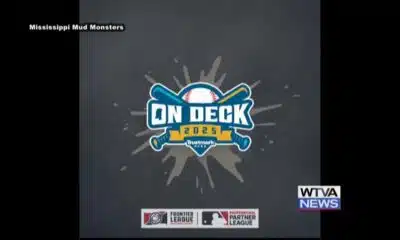 Mississippi Mud Monsters is new name for professional baseball club